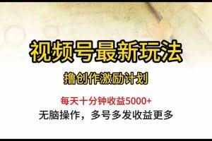 （10087期）视频号最新玩法，每日一小时月入5000+