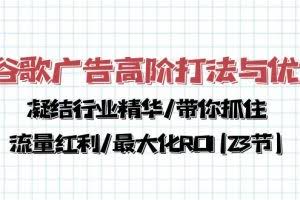 （10287期）谷歌广告高阶打法与优化，凝结行业精华/带你抓住流量红利/最大化ROI(23节)