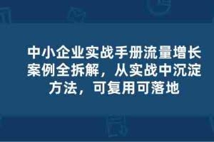 (10889期)中小 企业 实操手册-流量增长案例拆解,从实操中沉淀方法,可复用可落地