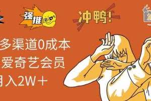 （10877期）2024多渠道0成本售卖爱奇艺会员月入2W＋