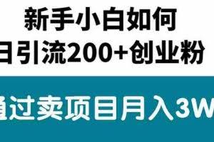 (10843期)新手小白日引流200+创业粉,通过卖项目月入3W+