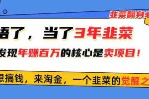 (10759期)悟了,当了3年韭菜,才发现网赚圈年赚100万的核心是卖项目,含泪分享!