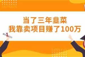(10725期)当了三年韭菜我靠卖项目赚了100万