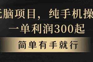 (10589期)无脑项目,一单几百块,轻松月入5w+,看完就能直接操作