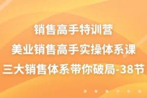 (10939期)销售-高手特训营,美业-销售高手实操体系课,三大销售体系带你破局-38节