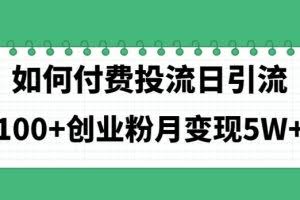 (11155期)如何通过付费投流日引流100+创业粉月变现5W+