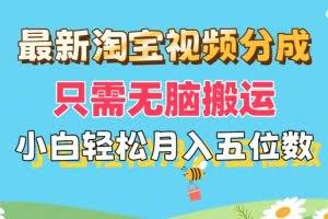 （11744期）最新淘宝视频分成，只需无脑搬运，小白也能轻松月入五位数，可矩阵批量…