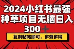 （12336期）2024小红书最强种草项目，无脑日入300+，复制粘帖即可，多劳多得