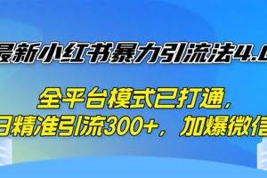 （12505期）最新小红书暴力引流法4.0， 全平台模式已打通，日精准引流300+，加爆微…