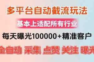 （12709期）小红书抖音视频号最新截流获客系统，全自动引流精准客户【日曝光10000+…