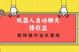 （12908期）机器人自动聊天撸收益，单机日入500+矩阵操作当天落地