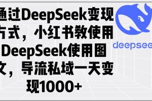 （14179期）通过DeepSeek变现方式，小红书教使用DeepSeek图文，导流私域一天变现1000+
