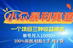 （14300期）【灵狐计划】视频号最新爆火赛道，三种收益模式，0粉新号条条热门原创…