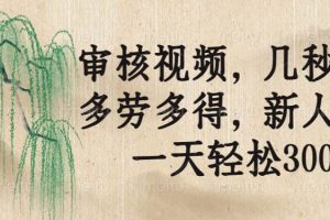 （14202期）审核视频，几秒一单，多劳多得，新人小白一天轻松300+