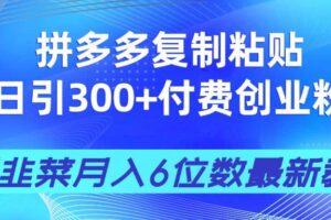 （14232期）拼多多复制粘贴日引300+付费创业粉，割韭菜月入6位数最新教程！