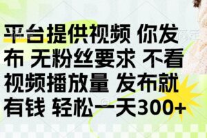 （14224期）发布平台提供视频就有钱 无粉丝要求 不看视频播放量 发布就有钱 一天300+