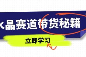 （14406期）水晶赛道带货秘籍，国学结合、短视频起号、拍摄技巧、直播话术等内容