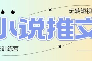 （14645期）2025小说推文训练营，只需复制，粘贴，小白轻松日入100+