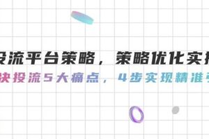 （14862期）投流平台策略，策略优化实操，解决投流5大痛点，4步实现精准引流