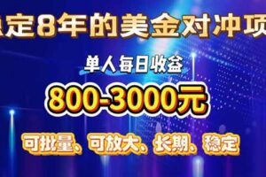 （15782期）稳定8年的美金对冲创业项目，单人每日收益800-3000，小众暴力项目
