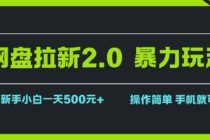 （15759期）网盘拉新2.0，暴力玩法，新手小白一天轻松500，操作简单