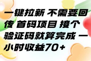 （15588期）一键拉新 不需要回传 首码项目 接个验证码就算完成 一小时收益70+