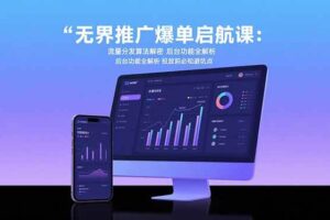 （15567期）无界推广爆单启航课：流量分发算法解密 后台功能全解析 投放前必知避坑点