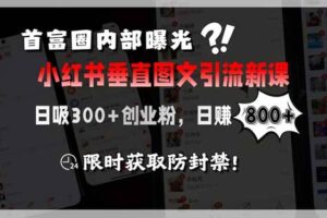 （15313期）首富圈内部曝光小红书垂直图文引流新课，日吸300+创业粉，日赚800+，限…