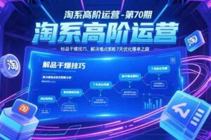 （15307期）淘系高阶运营-第70期，标品干爆技巧，解决难点策略，大佬操盘方法