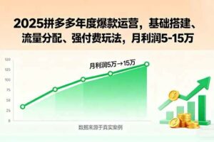 （15973期）2025拼多多年度爆款运营，基础搭建、流量分配、强付费玩法，月利润5-15万