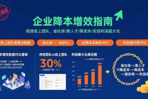 （15888期）企业降本增效指南：搭建线上团队，省社保/聚人才/降成本/实现利润最大化