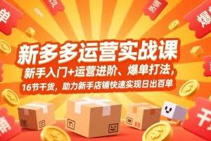 （17342期）拼多多运营实战课，新手入门+运营进阶、爆单打法，16节干货，助力新手店铺快速实现日出百单