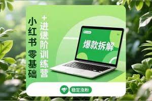 （16801期）小红书零基础+高阶训练营：安全养号、爆款拆解、长效运营，实现稳定涨粉与变现