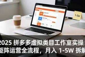 （16748期）2025 拼多多虚拟类目工作室实操：矩阵运营全流程，月入 1-5W 拆解
