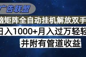 （16697期）海外广告联盟每天几分钟日入1000+无脑操作，可矩阵并附有管道收益