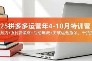 （16642期）2025拼多多运营年4-10月特训营：暴力起店+强付费策略+活动爆流+突破运营瓶颈，干货拉满