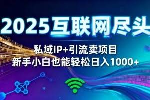 （16485期）2025网创尽头王炸项目！私域 IP + 精准引流，新手小白在家躺赚日入 1000+