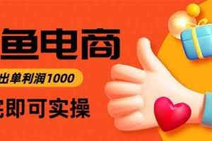 （16473期）闲鱼高利润电商，当天上架当天出单，一单利润300