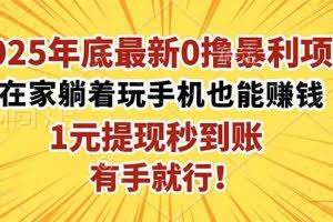 （16419期）2025年底最新0撸暴利项目，在家也能躺赚，1元秒提现，有手就行！