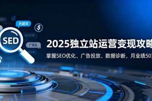 （16371期）2025独立站运营变现攻略：掌握SEO优化、广告投放、数据诊断，月业绩50万+