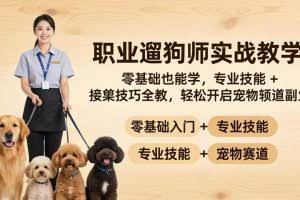 （18115期）职业遛狗师实战教学：零基础也能学，专业技能 + 接单技巧全教，轻松开启宠物赛道副业