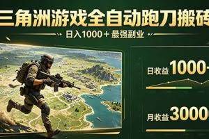 （17999期）三角洲全自动搬砖，轻松躺赢！
